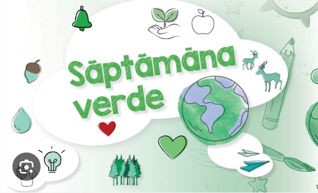 21768fa2653900d76.76369142